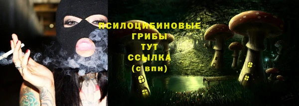 а пвп мука Осинники