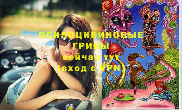 а пвп мука Осинники